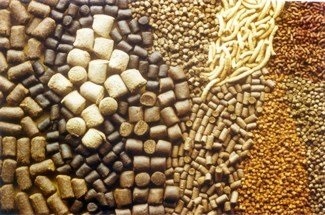  افزایش هشت درصدی صادرات خوراک آبزیان